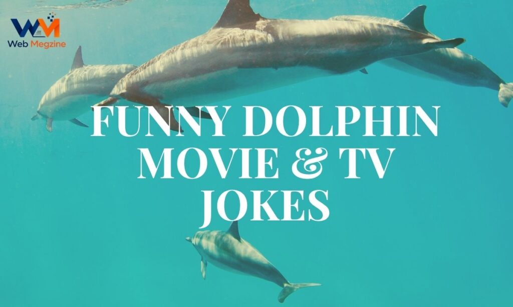 dolphin-jokes (3)